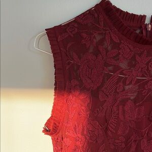 Tolani Maroon Embroidered Tulle Tiered Maxi Gown Pleated Neckline